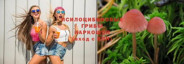 дурь Абаза