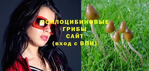 mdpv Новозыбков