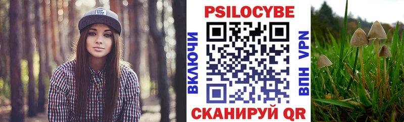 Псилоцибиновые грибы MAGIC MUSHROOMS  Тарко-Сале 